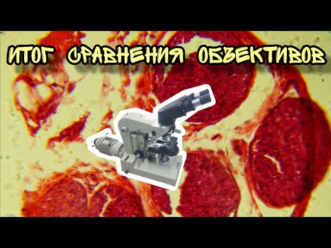 Сравнение объективов для микроскопа (часть 2)