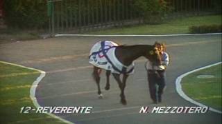 1984 GP CARLOS PELLEGRINI REVERENTE - N. MEZZOTERO
