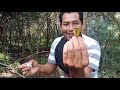 Ritual mikat burung minta pada Mbahnya😂😂
