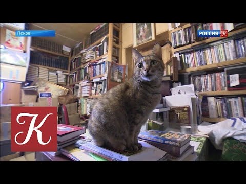 Новости культуры. Эфир от 07.04.2021 (10:00) @Телеканал Культура