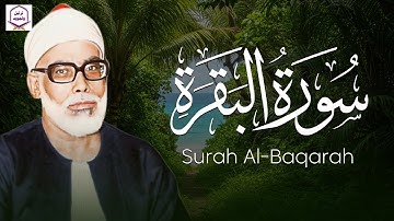 قرآن الصباح | سورة البقرة كاملة بصوت الشيخ الحصري راحة للنفس وتجديد للروح  🎧
