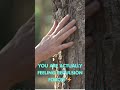 You’ve Never Actually Touched Anything in Your Life (Here’s Why 🤯)