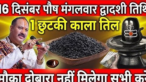 16 दिसंबर पौष मंगलवार द्वादशी तिथि के दिन 1 छुटकी काला तिल वाला उपाय जरुर करे || Pradeep Ji Mishra🙏