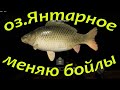 Русская рыбалка 4 / озеро Янтарное / Бойлы с перчинкой / фарм