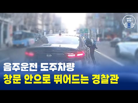 🚗😵‍💫🚓음주운전 <strong>도주차량</strong> 검거 #음주운전 #서울경찰 #검거
