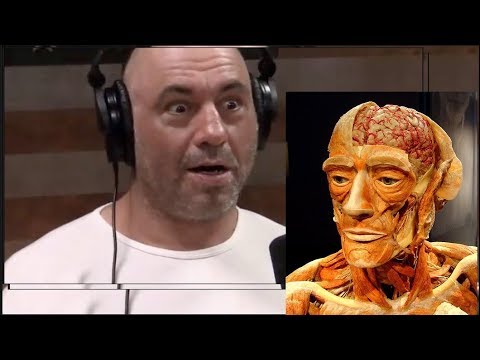 Joe Rogan on Human Plastination with Lindsey Fitzharris