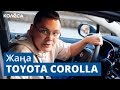 Toyota Corolla (2019): ???? ???????