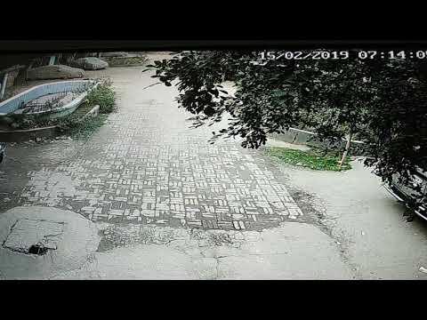 সাইকেল চোর ধরিয়ে দিন ৫০০০টাকা পুরস্কার দিব ও যোগাযোগ -০১৭১৬১৮৩৬৬১.