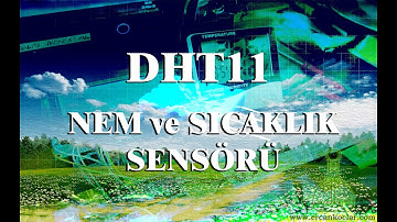 DHT11 ile Isı ve Nem Ölçmenin En Kolay Yolu | MikroC Projeleri