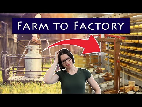 Video: Sūrio gamyklos parama – Sūrio gamyklos mokymas ant samanų stulpo