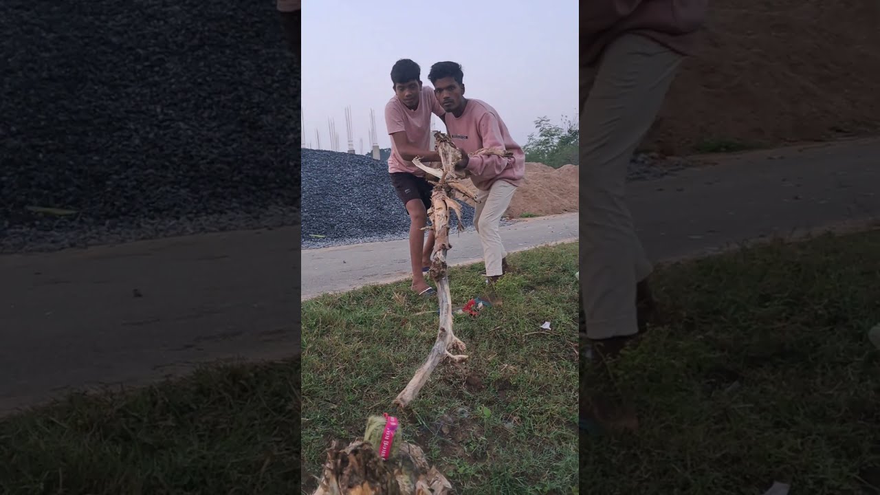 Kya Bom  fodega re tu 🤣🤣the balma comedy 