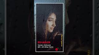 Ali Altay Turan & Gulecano / Bihaber Şiirleri Şk Şfet