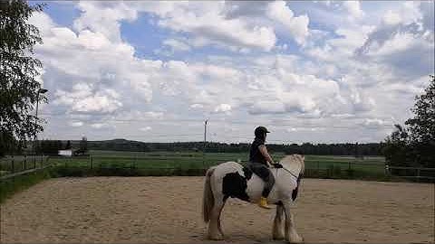 First time riding bitless whit flower hackamore