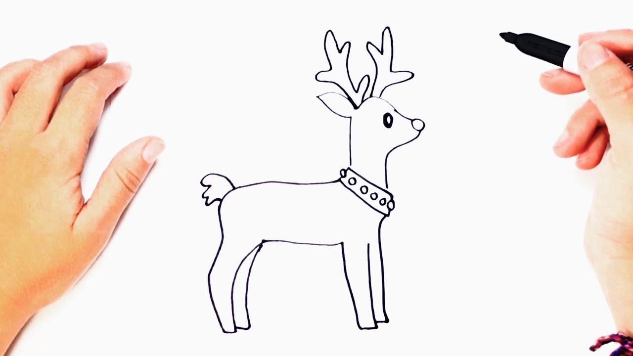 How to draw a Reindeer | Reindeer Easy Draw Tutorial - YouTube