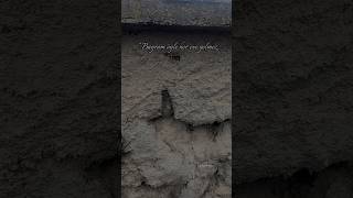 Bayram Öyle Her Eve Gelmez.