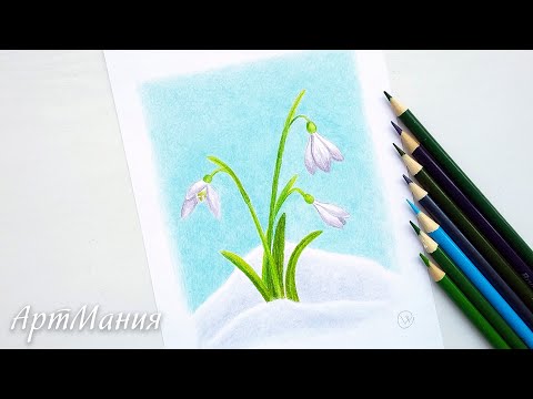 Πώς να σχεδιάσετε snowdrops με χρωματιστά μολύβια - Άνοιξη σχέδιο