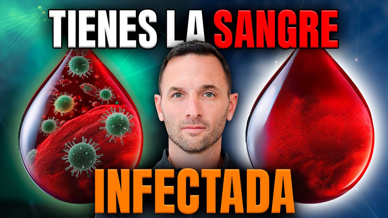 ¿Problemas Digestivos? Podrían estar Contaminando tu SANGRE 🤯 - YouTube