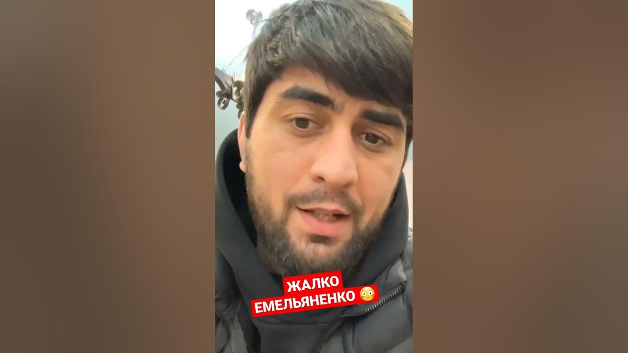 Тамаев и Альфредо