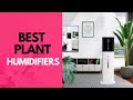 Best Plant Humidifier in 2023 - Top 6 Review