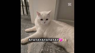 yayayayay💖💖💖😘