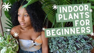 How To Be a Plant Mama 🌿 - Indoor Plants for Beginners