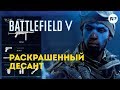 Battlefield 5 - Кастомизация или клоунада?