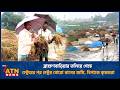 ব্রাহ্মণবাড়িয়ার তলিয়ে গেছে হেক্টরের পর হেক্টর বোরো ধানের জমি, বিপাকে কৃষকরা | ATN News