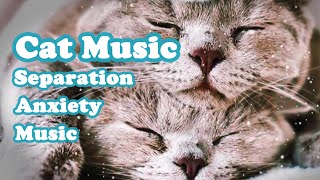 🎵Holistic Approaches to Tackling Kitten😺Separation Anxiety and Promoting Peaceful Sleep💖