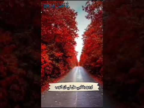 رحماك ربي اباذر الحلواجي