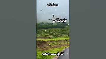 القارئ محمد الفقيه اللَّهُ نُورُ السَّمَاوَاتِ وَالْأَرْضِ #قران_كريم #ارح_قلبك