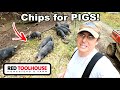 Bringing CHIPS to the PIGS to Combat MUD!