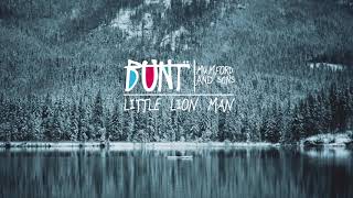 Mumford and Sons - Little Lion Man (BUNT. Remix)