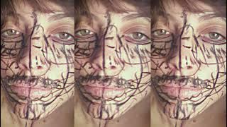 Noga Erez - P.L.E.A.S.E (Official Audio)