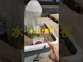 鉢に苗を植える③r8/5/14