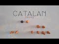 Introduction to the Catalan