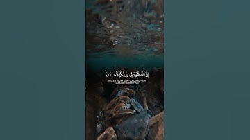 سورة الزخرف الآية ﴿64﴾🍀💎 #قرآن #راحة_نفسية #اكسبلور #اللهم_صل_وسلم_على_نبينا_محمد #لايك #طبيعه