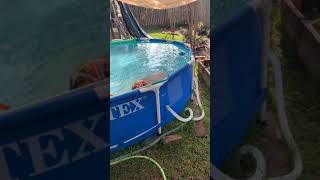 FIXED - Leaking hose fittings on above ground pool