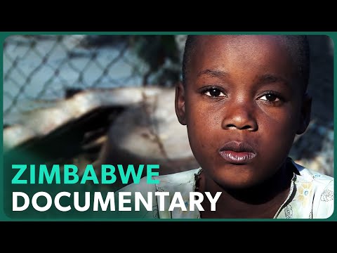 Video: War Simbabwe jemals die Kornkammer Afrikas?