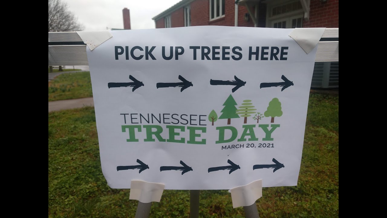 TN Tree Day @ NETREC