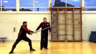 Longsword Lessons: Secondary Postures - Eisenport