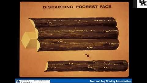 Tree and Log Grading Introduction