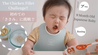 【Meat Challenge】My 8 month old baby eats chicken fillet for the first time! 【Japanese Baby Mukbang】