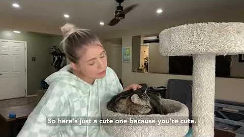 Penny the talking cat!