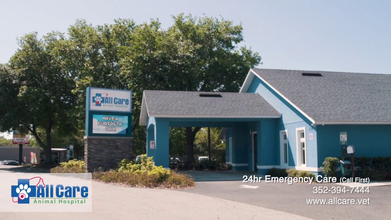 Clermont, FL | All Care Animal Hospital