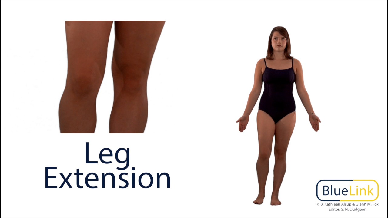 Leg Flexion Extension 
