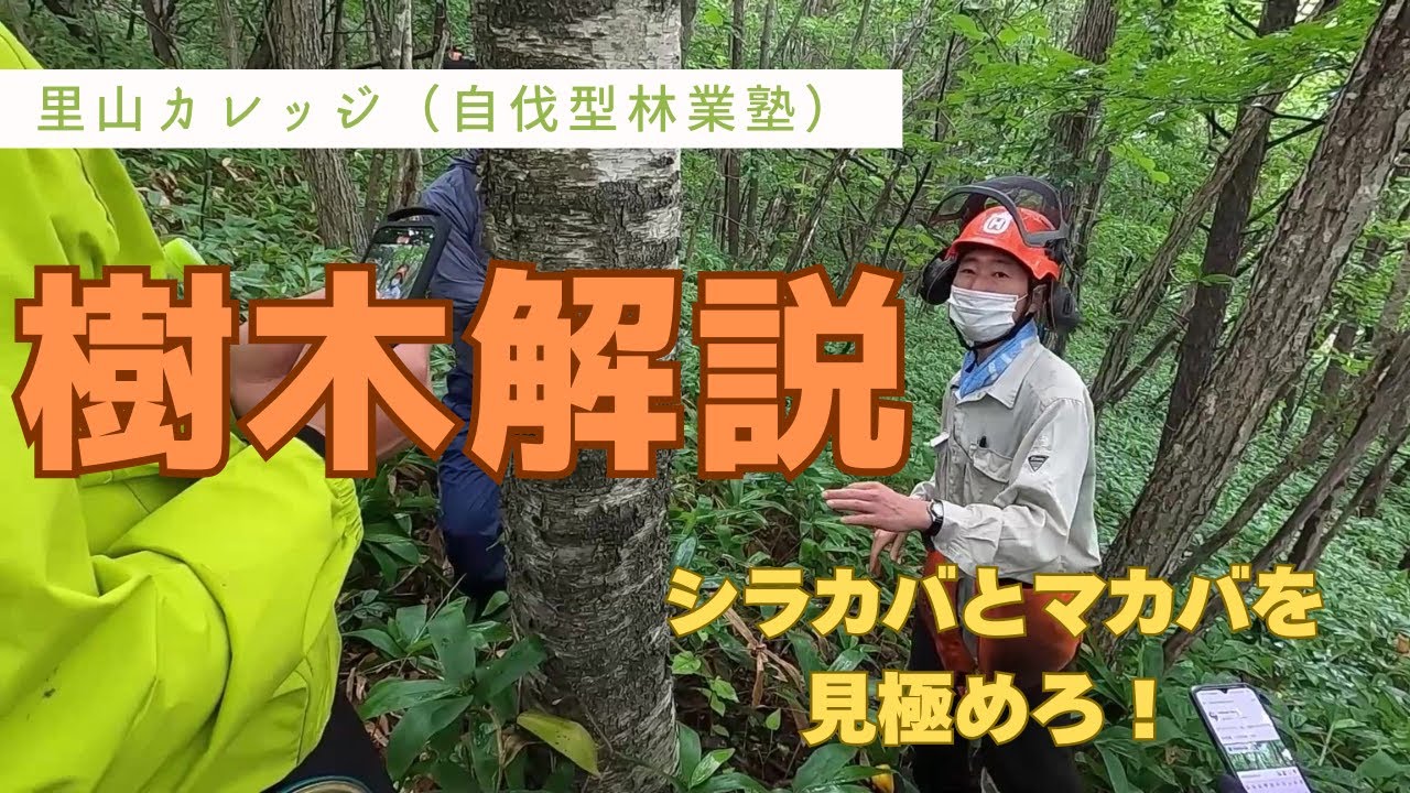 北海道自伐型林業推進協議会