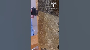 When uncapping honeycombs, Every beekeeper Has their technique Adapted to their work surroundings