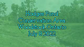 Hodges Pond Conservation Area Woodstock Ontario July 8 2022