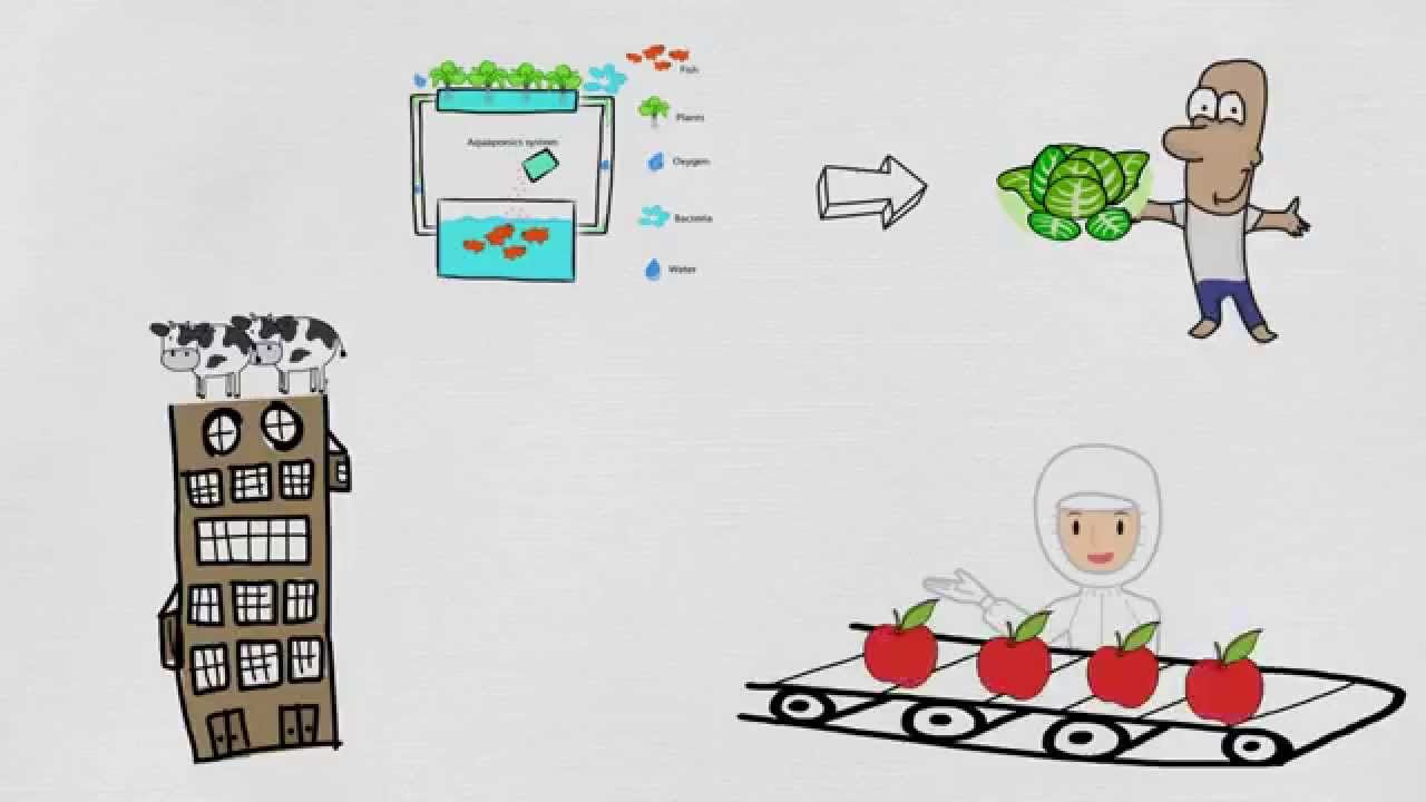 Update What is urban agriculture?