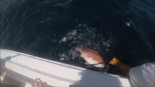 Deep Sea Fishing 2018